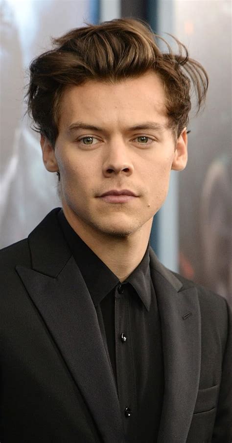 harry styles imdb|harry styles biography.